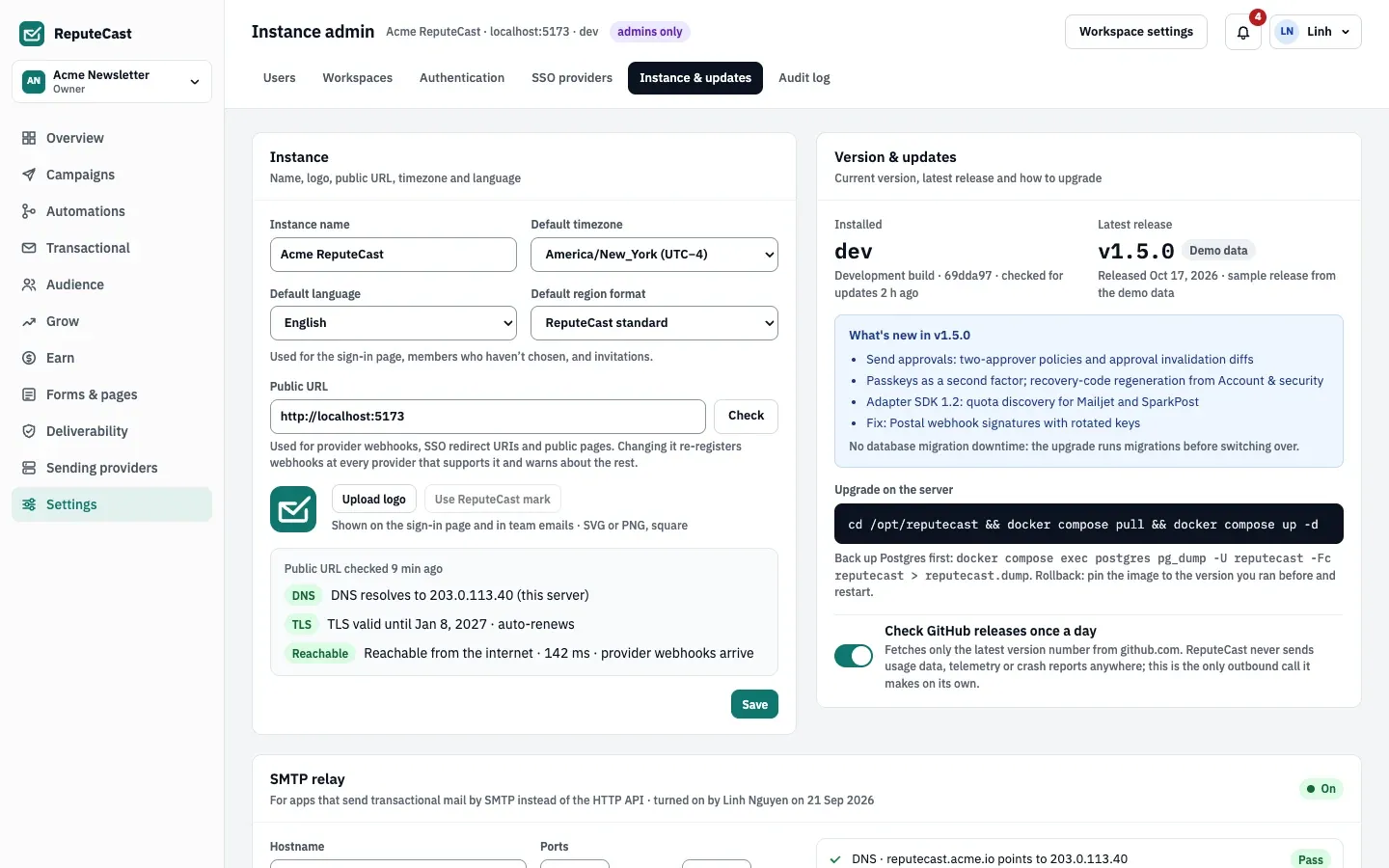 The Instance & updates tab: the Instance card with name, default timezone, language, region format and public URL with its DNS, TLS and reachability check, next to the Version & updates card.
